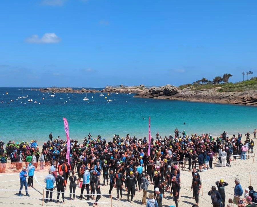 Usagers de la plage et biodiversité